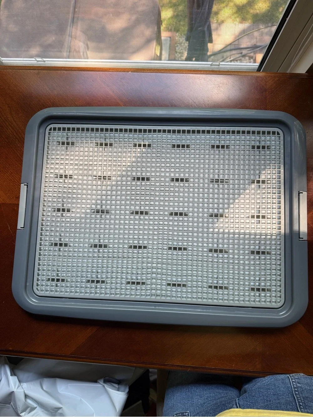 Gray Dog Housebreaking Tray with Removable Grid - by PetSmart